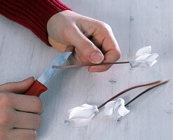 Weiße Cyclamen mit Silberdraht als Steckhilfe (3/5)