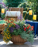 Gaillardia 'Kobold', Tagetes 'Orange Gem', Salvia farinacea