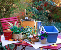 Planting a blue metal box with viola and spring onions (1/8)