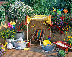 Balcony for children: Daisies stalks