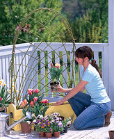 Spring box with woven trellis (6/7)