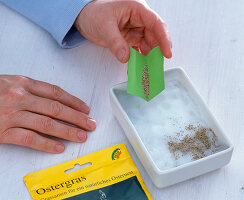 Easter grass in rectangular bowls (1/3)