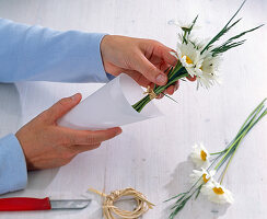 Marguerites in transparent paper bag (2/3)