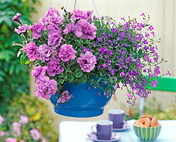 Planting blue sprayed hanging basket pot