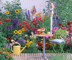 Seat at the colourful summer bed: Dahlia (dahlias), Helianthus (sunflowers)