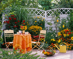 Terrace beds, theme beds