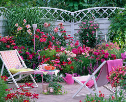 Terrace beds, theme beds