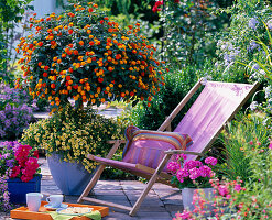 Lantana (Wandelröschen) Stamm unterpflanzt mit Calibrachoa