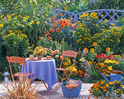 Yellow-orange patio bed in front of blue wattle wall