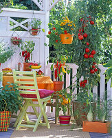Gemüsebalkon mit Paprika und Tomaten
