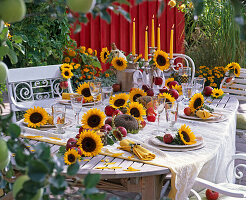 Tischdekoration im Herbst mit Helianthus (Sonnenblumen) und Malus (Äpfeln)