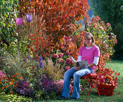 Herbstbeet Gräsern, Pyracantha (Feuerdorn), Brassica (Zierkohl)