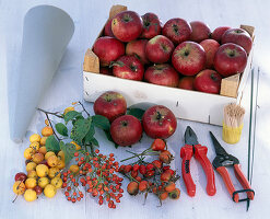 Apple pyramid with rose hips and roses (1/5)