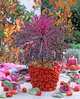 Clay pot with stuck lanterns