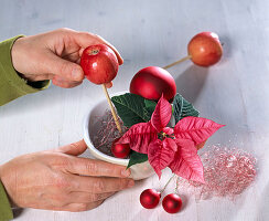 Poinsettia and apple arrangement