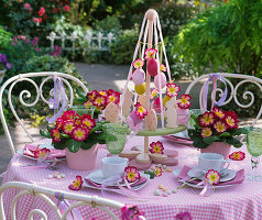 Ostertisch auf der Terrasse mit Primula (Primeln)