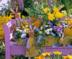 Yellow baskets planted with helleborus (tulip), tulipa (tulip)