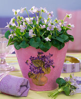 Peonies in pot with violet napkin decoration