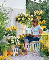 Yellow balcony, Helianthus, Rosa 'Sunlight Romantica'