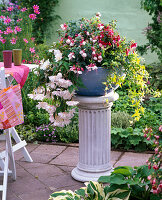 Bowl in variations:Fuchsia (fuchsia), Begonia (begonia), Hedera (ivy)