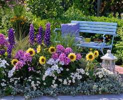 Buntes Beet mit Stauden und Sommerblumen: Delphinium (Rittersporn)