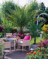 Palmenterrasse mit Phoenix canariensis (Dattelpalme), Chamaerops humilis