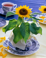 Helianthus (mini sunflower) in napkin placed in cup