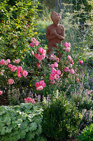 Rosa 'Leonardo da Vinci' (nostalgische Rose), öfterblühend