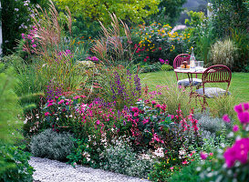 Late summer bed with Penstemon (beard thread), Monarda