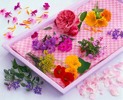 Edible flowers on tray: Phlox (flame flowers), Rosa (roses), Calendula