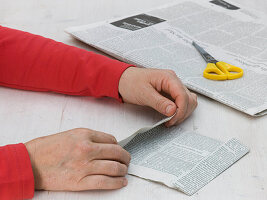 Seed bags made of newsprint