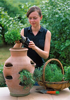 Planting pocket amphora with herbs (1/2)