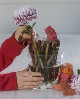 Insertion aid from branches for autumn chrysanthemums