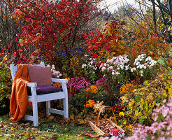 Autumn border with Acer palmatum (fan maple), Fothergilla major