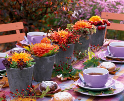 Dahlia (dahlias), Origanum (oregano), Nepeta (catmint), rose hips