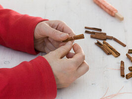 Small trees with cinnamon sticks (2/6)