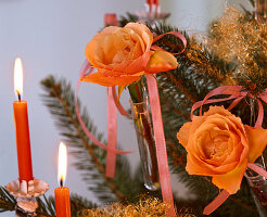 Pink (roses) in small tubes at Picea (spruce)