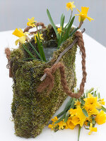 Moss bag with daffodils (8/9)