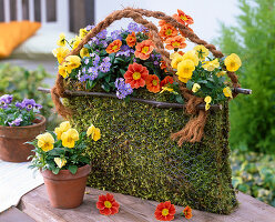 Moss bag with spring flowers