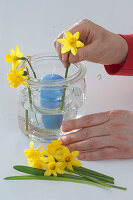 Daffodil lantern (3/5)
