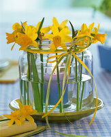 Narcissus wind lantern