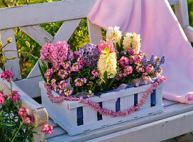 Light blue painted fruit staircase with Hyacinthus (Hyacinths)