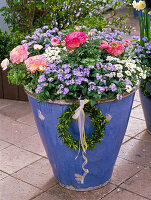 Myosotis 'Myomark' (Forget-me-not) and Ranunculus