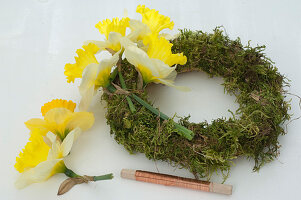 Daffodil wreath (3/5)