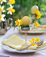 Serviette decoration with Narcissus (Narcissus), Easter egg in egg cup