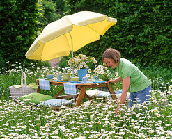 Table set in a meadow of Leucanthemum (spring daisies)