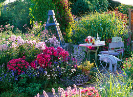 Scented border with Phlox 'Starfire', 'Rosenlicht' (flame flowers)