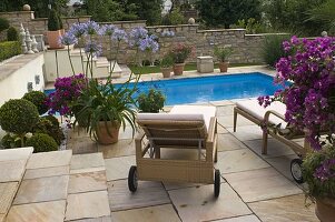 Mediterranean flair swimming pool taken in terrace with tub plants