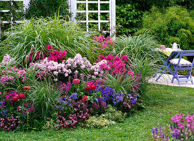 Duftbeet mit Phlox (Flammenblumen), Delphinium grandiflorum