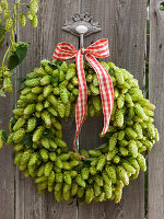 Floristry with hops